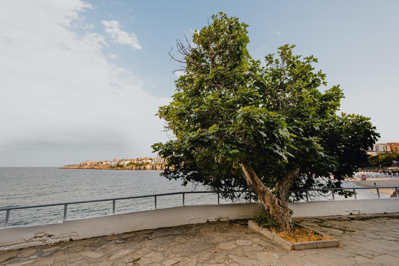 Miletia Suites Sozopol Exteriér fotografie